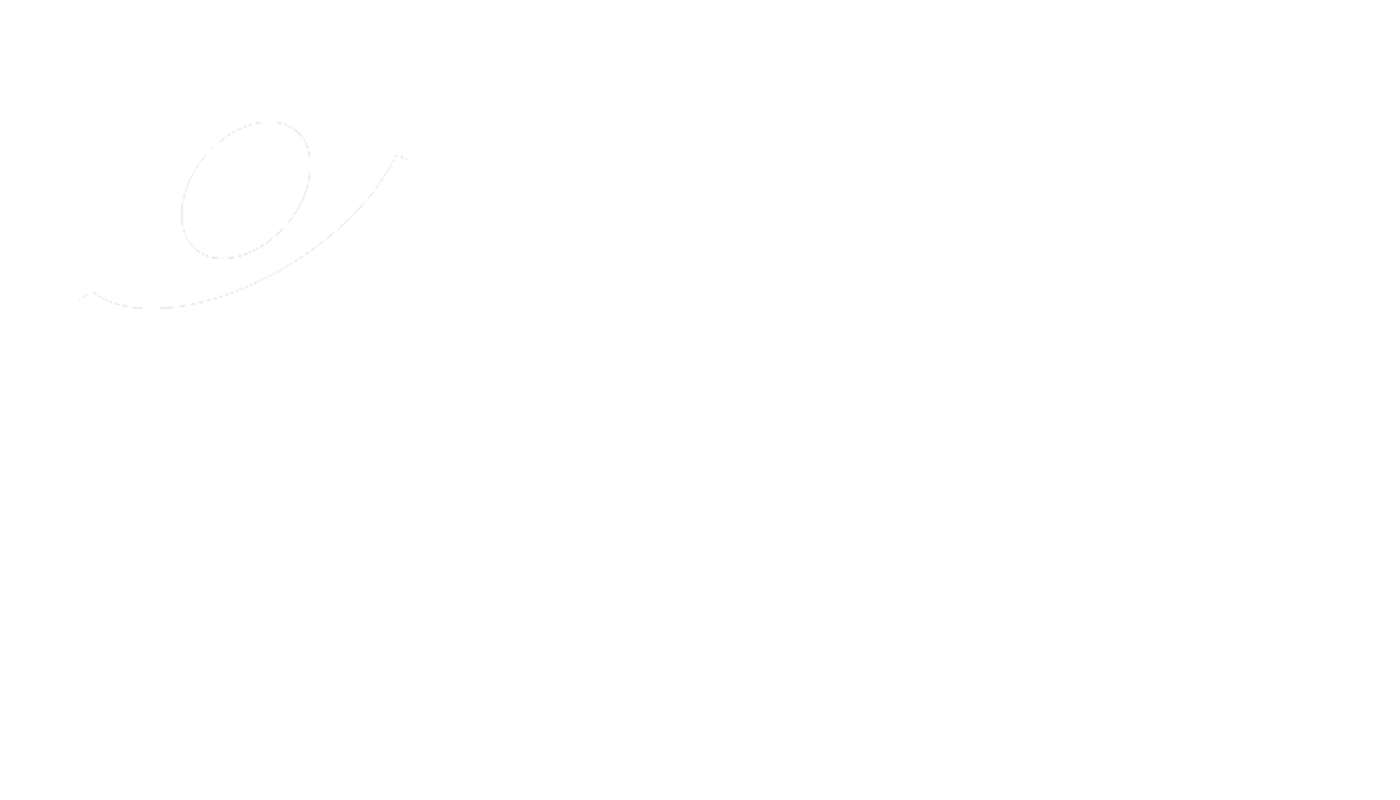 Transparent White Logo